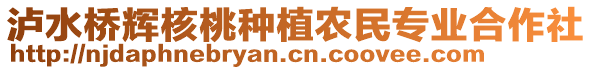 瀘水橋輝核桃種植農(nóng)民專業(yè)合作社