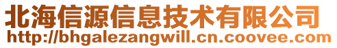 北海信源信息技術(shù)有限公司