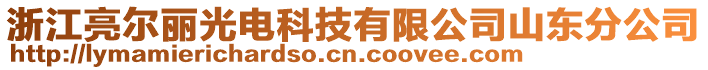 浙江亮爾麗光電科技有限公司山東分公司