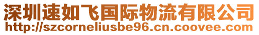 深圳速如飛國(guó)際物流有限公司