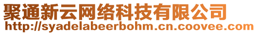 聚通新云网络科技有限公司