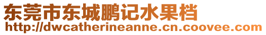 東莞市東城鵬記水果檔