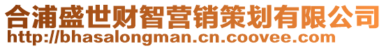 合浦盛世财智营销策划有限公司