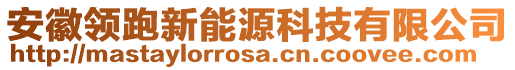 安徽領(lǐng)跑新能源科技有限公司