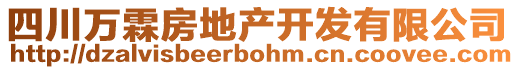 四川萬霖房地產(chǎn)開發(fā)有限公司