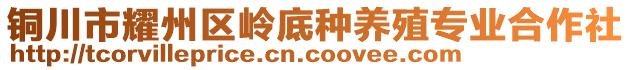 铜川市耀州区岭底种养殖专业合作社