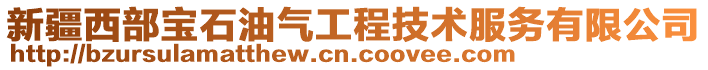 新疆西部宝石油气工程技术服务有限公司