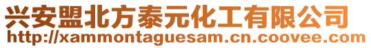 興安盟北方泰元化工有限公司