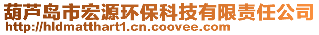 葫蘆島市宏源環(huán)?？萍加邢挢?zé)任公司