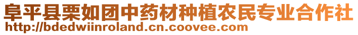 阜平縣栗如團(tuán)中藥材種植農(nóng)民專業(yè)合作社