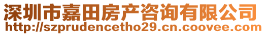 深圳市嘉田房產(chǎn)咨詢有限公司