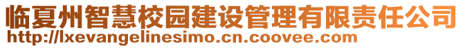 臨夏州智慧校園建設管理有限責任公司