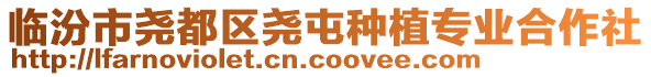 臨汾市堯都區(qū)堯屯種植專業(yè)合作社