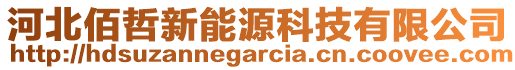 河北佰哲新能源科技有限公司