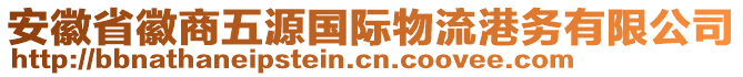 安徽省徽商五源國(guó)際物流港務(wù)有限公司