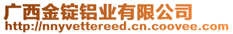 廣西金錠鋁業(yè)有限公司