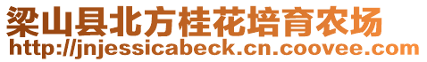 梁山縣北方桂花培育農(nóng)場