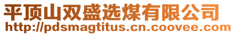 平頂山雙盛選煤有限公司