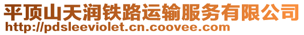 平頂山天潤鐵路運(yùn)輸服務(wù)有限公司