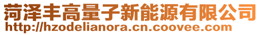 菏泽丰高量子新能源有限公司