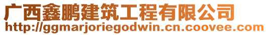 廣西鑫鵬建筑工程有限公司