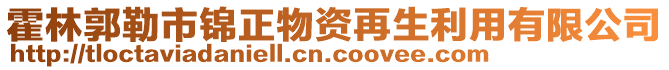 霍林郭勒市錦正物資再生利用有限公司