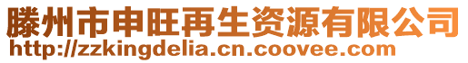 滕州市申旺再生資源有限公司