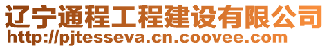 遼寧通程工程建設(shè)有限公司