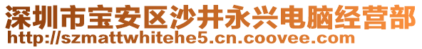 深圳市寶安區(qū)沙井永興電腦經(jīng)營部