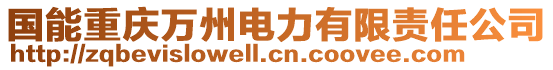 國能重慶萬州電力有限責任公司