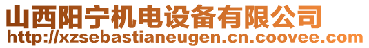 山西陽寧機(jī)電設(shè)備有限公司