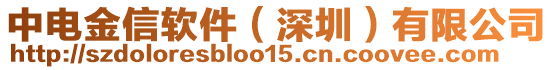 中电金信软件（深圳）有限公司