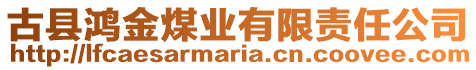 古縣鴻金煤業(yè)有限責任公司