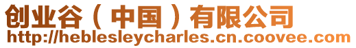 創(chuàng)業(yè)谷（中國）有限公司