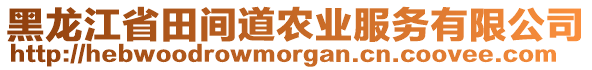 黑龍江省田間道農(nóng)業(yè)服務(wù)有限公司