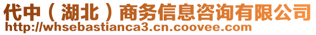 代中（湖北）商务信息咨询有限公司