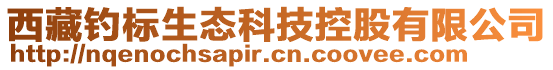 西藏釣標(biāo)生態(tài)科技控股有限公司