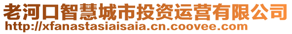 老河口智慧城市投資運營有限公司