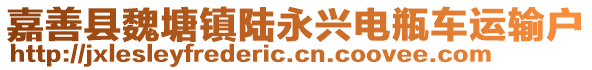 嘉善县魏塘镇陆永兴电瓶车运输户