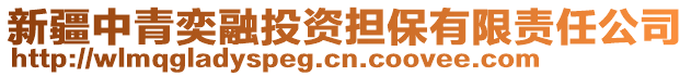 新疆中青奕融投資擔保有限責任公司