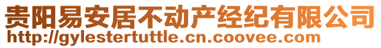 貴陽(yáng)易安居不動(dòng)產(chǎn)經(jīng)紀(jì)有限公司