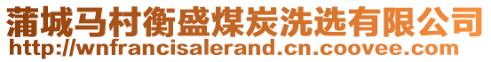 蒲城馬村衡盛煤炭洗選有限公司