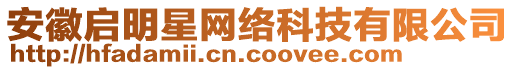 安徽啟明星網(wǎng)絡科技有限公司