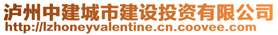 瀘州中建城市建設投資有限公司