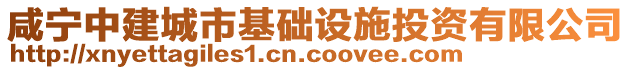 咸宁中建城市基础设施投资有限公司