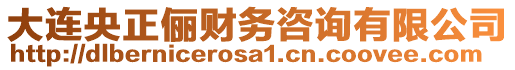 大連央正儷財務(wù)咨詢有限公司