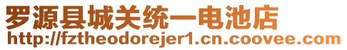 羅源縣城關(guān)統(tǒng)一電池店