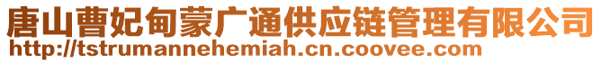 唐山曹妃甸蒙廣通供應(yīng)鏈管理有限公司