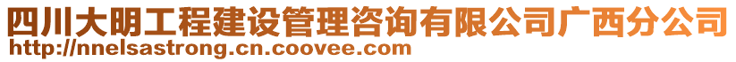 四川大明工程建設(shè)管理咨詢有限公司廣西分公司