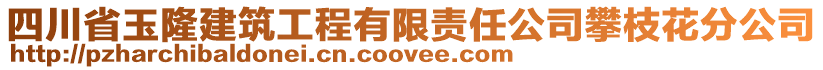 四川省玉隆建筑工程有限责任公司攀枝花分公司